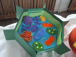 59023866013148861237726663330966787454116993n